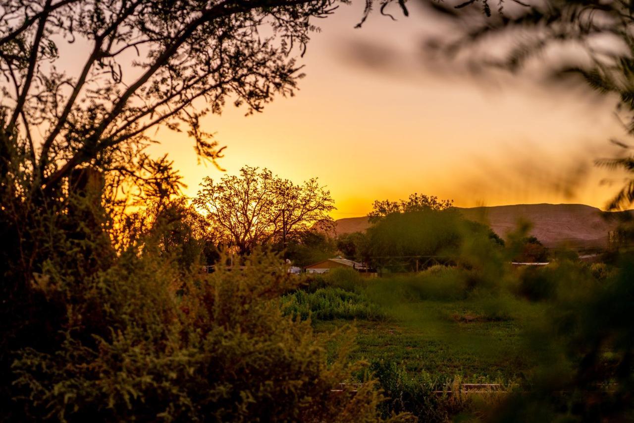La Casa Del Sol Naciente Hotel San Pedro de Atacama Bagian luar foto